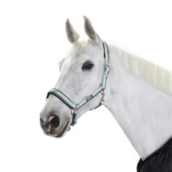 Eskadron Headcollar Pin Buckle -Sports - Horse Equipment Shop 333403 IB WH SG 1