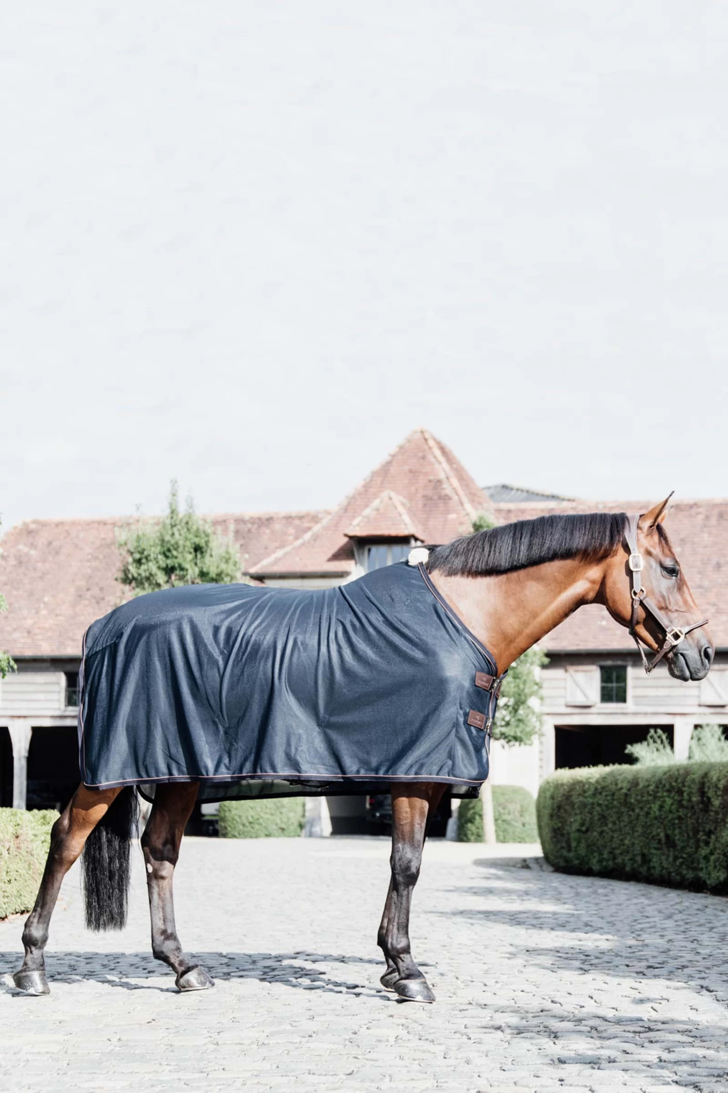 Kentucky Horsewear Mesh Fly Sheet 4 Kentucky Horsewear Mesh Fly Sheet - Image 2