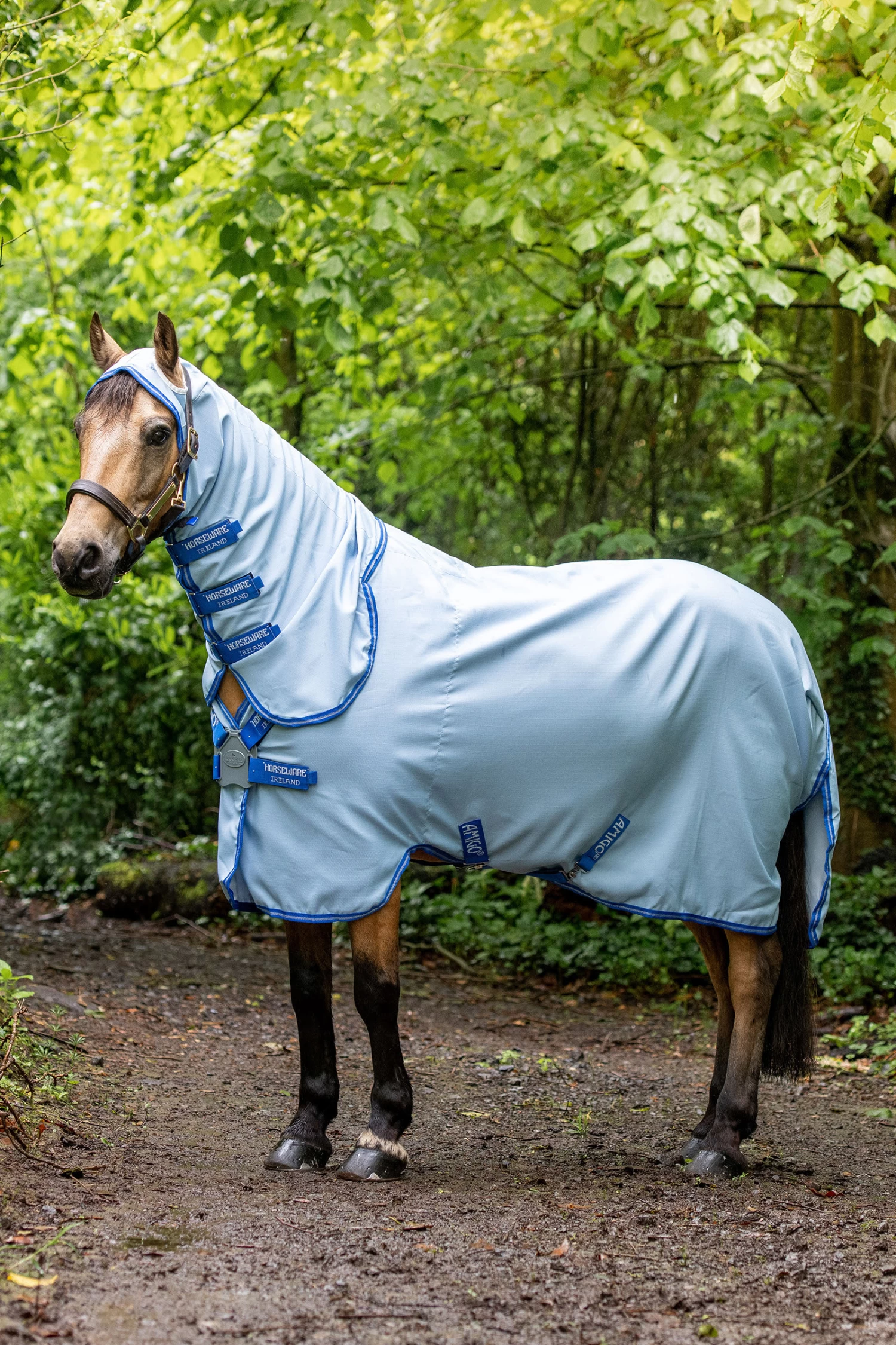 Horseware Amigo Hoody Pony Sweet Itch Rug With Fixed Neck 3 Horseware Amigo Hoody Pony Sweet Itch Rug With Fixed Neck