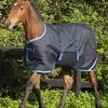 Horseware Amigo Ripstop Foal Rug, 200g -Sports - Horse Equipment Shop 334224 DB EB 1