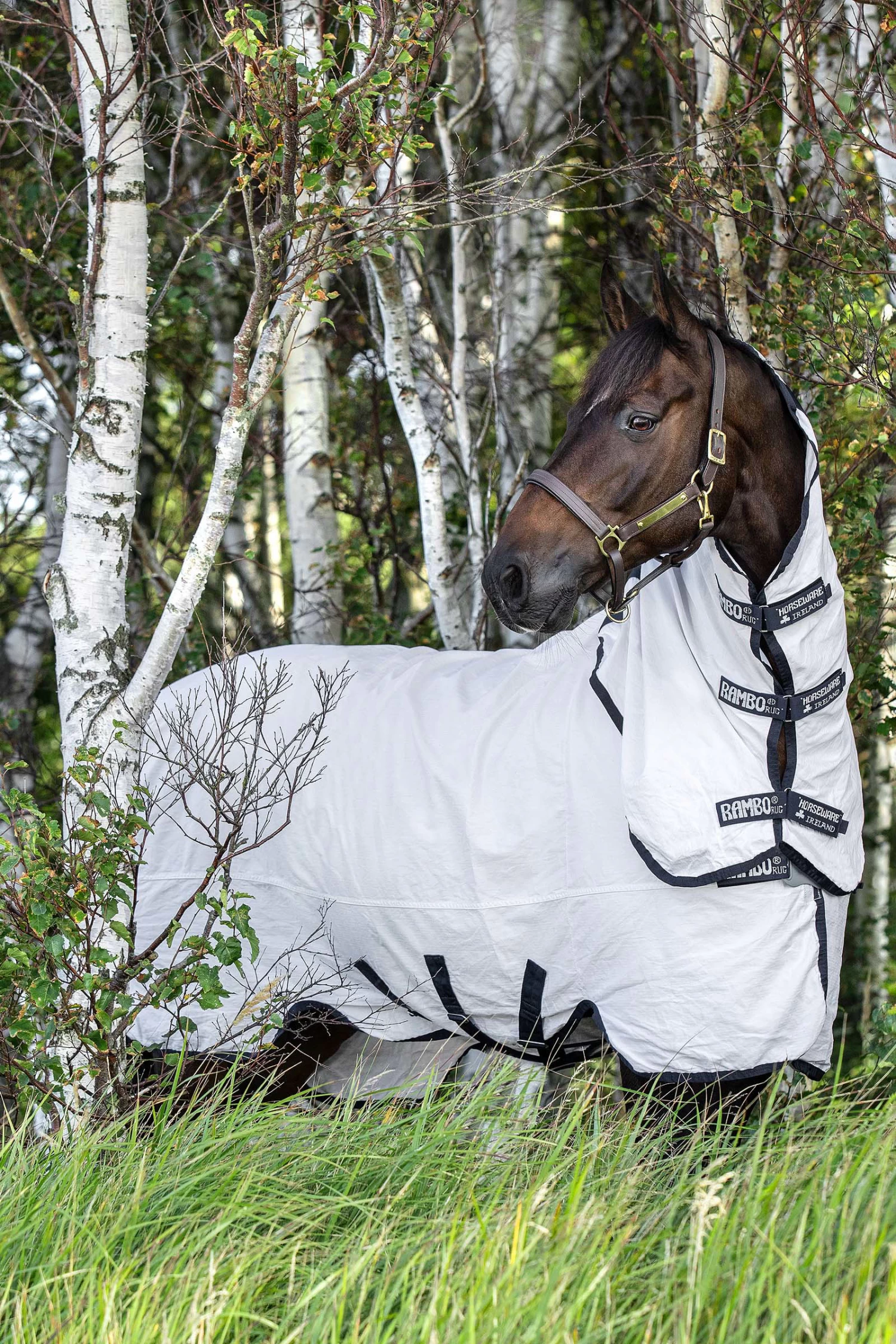 Horseware Rambo Natura Fly Rug 5 Horseware Rambo Natura Fly Rug - Image 3