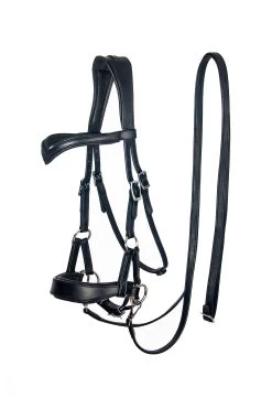 F.R.A. Aruba Bitless Bridle