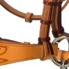 F.R.A. Diego Bitless Bridle -Sports - Horse Equipment Shop 334265 NAT 10