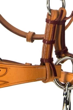 F.R.A. Diego Bitless Bridle