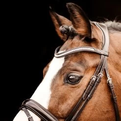 Schockemöhle Seaford Bridle -Sports - Horse Equipment Shop 334784 DBR SI 4