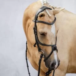 PS Of Sweden Athens Mexican Bridle