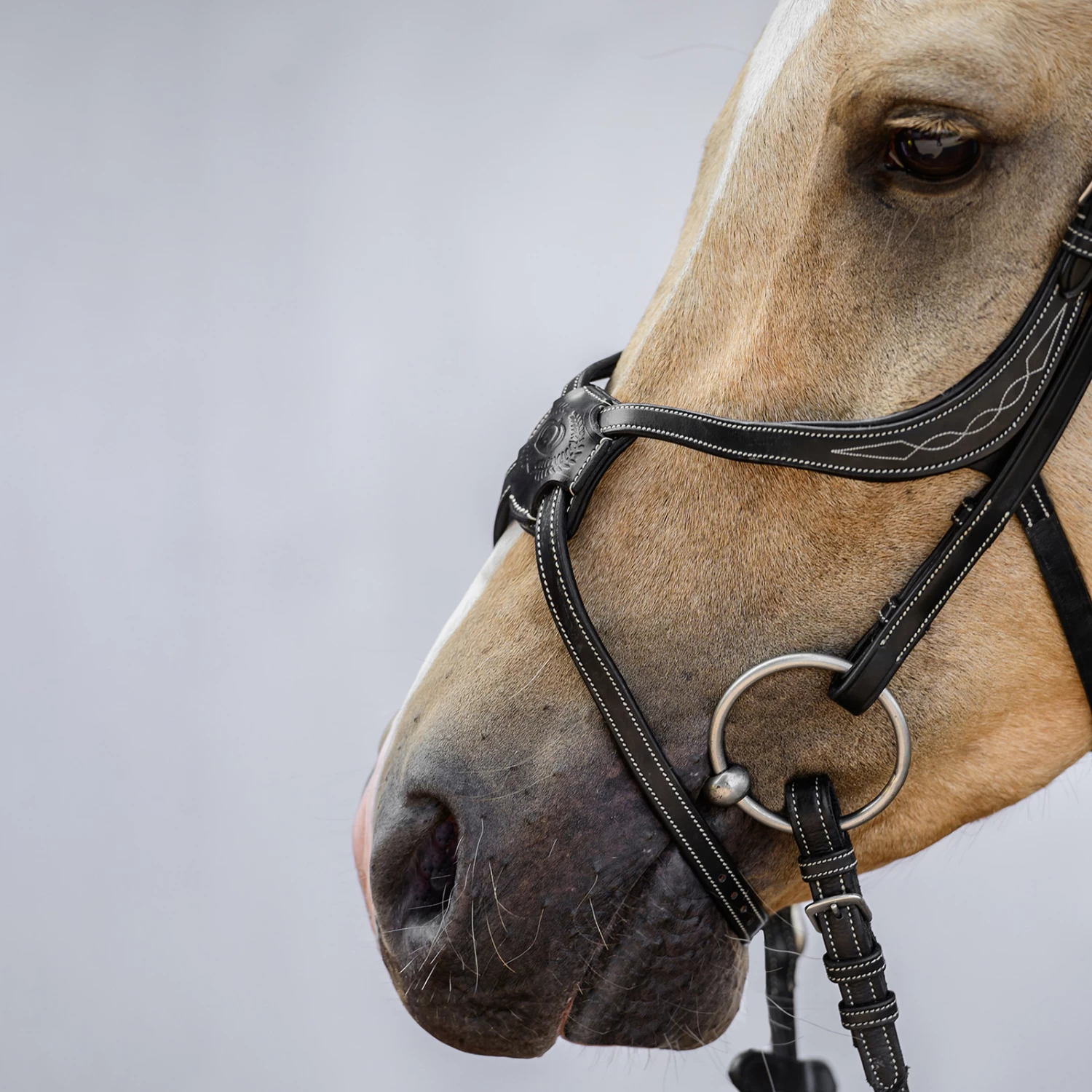 PS Of Sweden Athens Mexican Bridle 4 PS Of Sweden Athens Mexican Bridle - Image 2