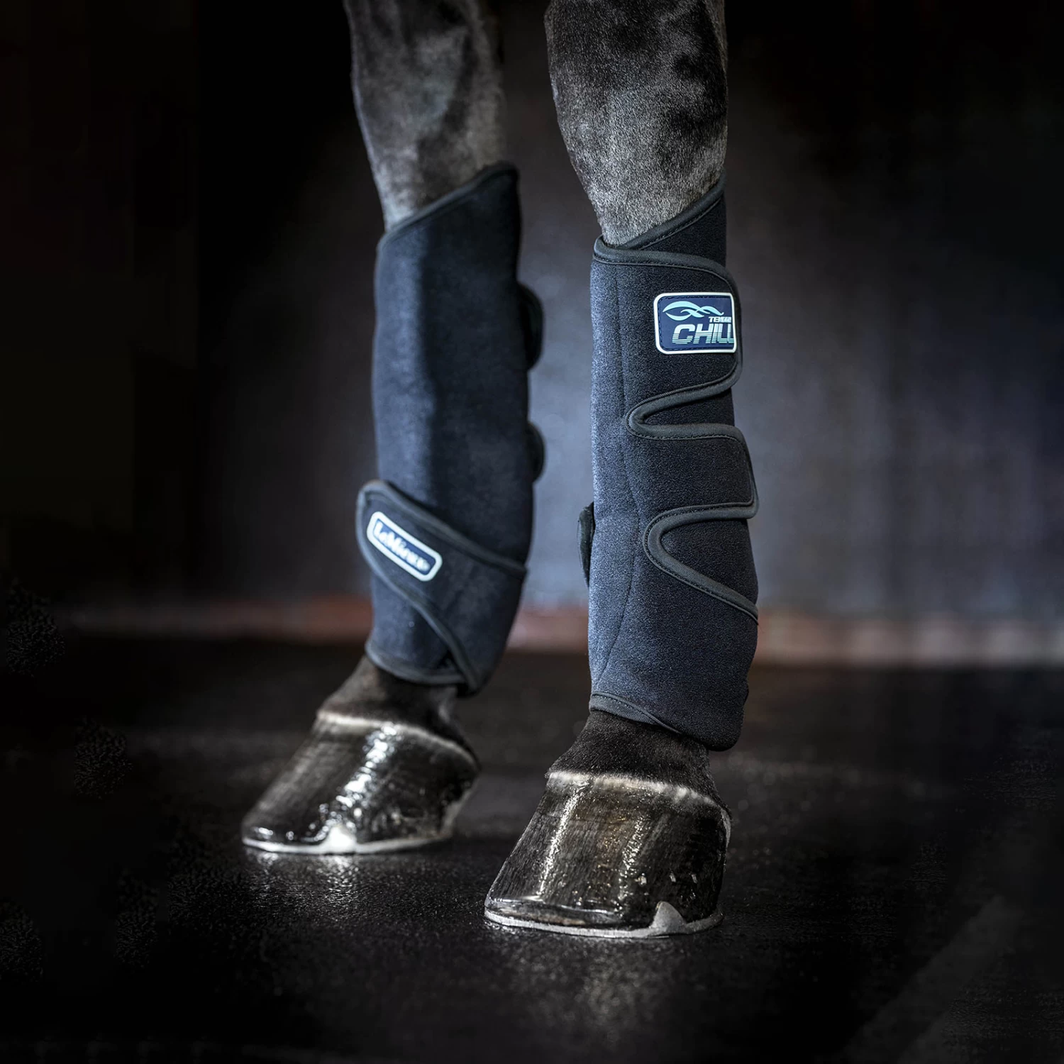 LeMieux Tendon Chill Bootss 7 LeMieux Tendon Chill Bootss - Image 5