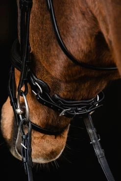 Schockemöhle Brantford Bridle -Sports - Horse Equipment Shop 335283 BL PTG 8
