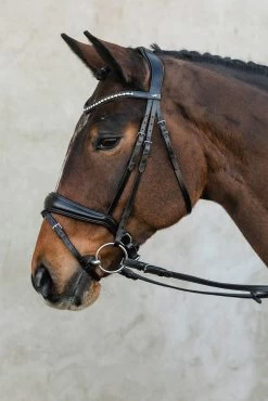 Schockemöhle Brantford Bridle -Sports - Horse Equipment Shop 335283 BL PTG 9