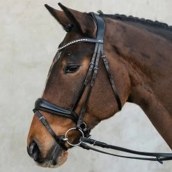 Schockemöhle Brantford Bridle -Sports - Horse Equipment Shop 335283 BL SI 5
