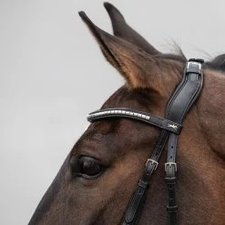 Schockemöhle Equitus Rho Headpiece -Sports - Horse Equipment Shop 335287 BL SI 3