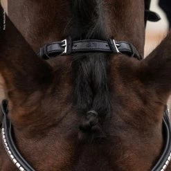 Schockemöhle Equitus Rho Headpiece -Sports - Horse Equipment Shop 335287 BL SI 4
