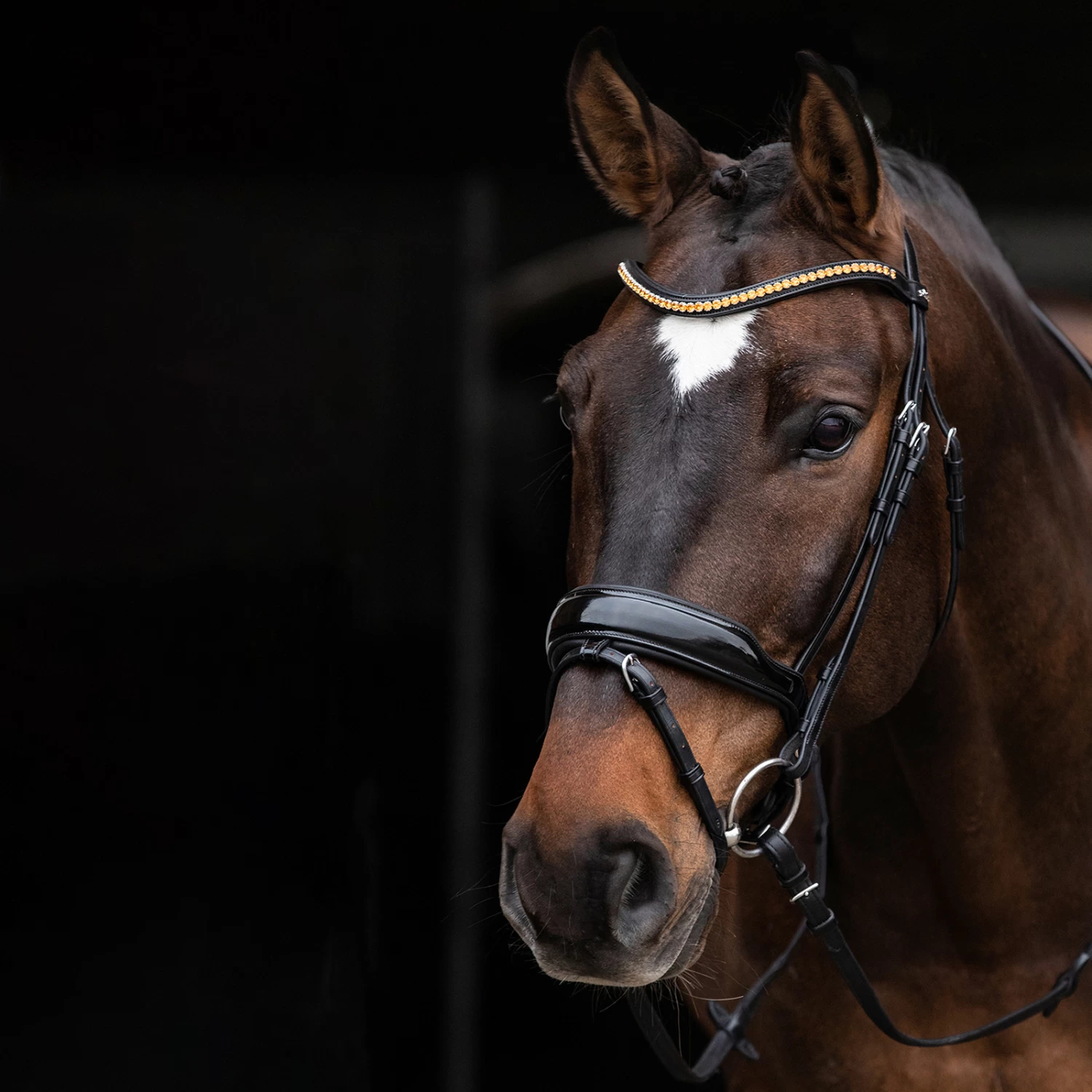 Schockemöhle Stanton Select Bridle 5 Schockemöhle Stanton Select Bridle - Image 3