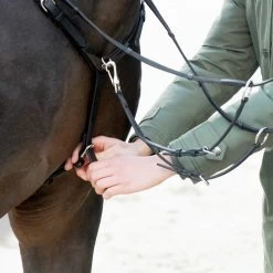 Kavalkade EveryDay Breastplate -Sports - Horse Equipment Shop 335680 BL 3