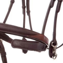 Kavalkade EveryDay Bridle -Sports - Horse Equipment Shop 335681 BR 4