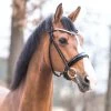 Kavalkade Florina KavalSH4 Bridle -Sports - Horse Equipment Shop 335685 BL 1