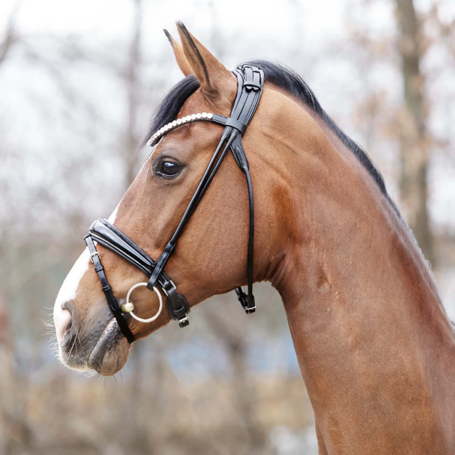 Kavalkade Florina KavalSH4 Bridle 4 Kavalkade Florina KavalSH4 Bridle - Image 2