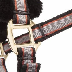 Kavalkade Gretchen Halter -Sports - Horse Equipment Shop 335701 BL CU G 2