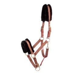 Kavalkade Gretchen Halter -Sports - Horse Equipment Shop 335701 BR LBR OR 1