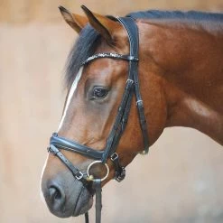 Kavalkade Ivonnne (Double) Bridle -Sports - Horse Equipment Shop 335708 BL 8