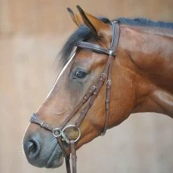 Kavalkade Levana Bridle -Sports - Horse Equipment Shop 335722 BR 1