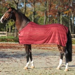 Kavalkade Stripe Fly Rug -Sports - Horse Equipment Shop 335765 DRE 1
