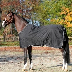 Kavalkade Winnipeg Turnout Rug, 50g