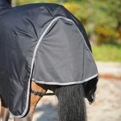 Kavalkade Winnipeg Turnout Rug, 50g -Sports - Horse Equipment Shop 335778 BL 3