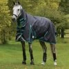 Weatherbeeta Comfitec Plus Dynamic II Combo Neck Turnout Rug, 100g 2 Weatherbeeta Comfitec Plus Dynamic II Combo Neck Turnout Rug, 100g -Sports - Horse Equipment Shop 335953 BL AB 1
