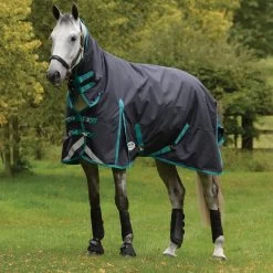 Weatherbeeta Comfitec Plus Dynamic II Combo Neck Turnout Rug, 100g