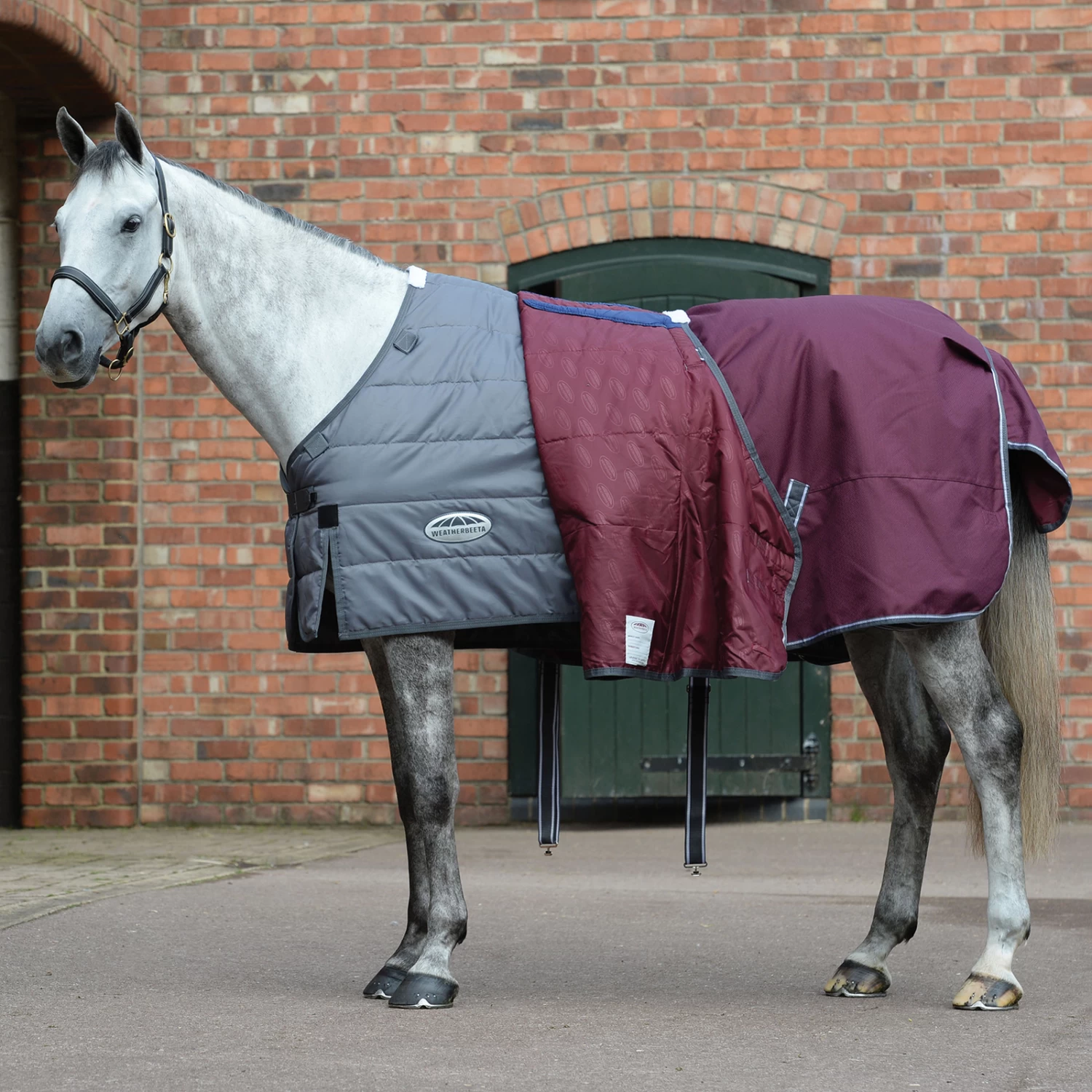 Weatherbeeta Comfitec Plus Dynamic II Detach-a-Neck Turnout Rug, 100g 4 Weatherbeeta Comfitec Plus Dynamic II Detach-a-Neck Turnout Rug, 100g - Image 2