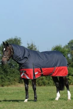 Weatherbeeta Comfitec Plus Dynamic II Detach-a-Neck Turnout Rug, 220g 7 Weatherbeeta Comfitec Plus Dynamic II Detach-a-Neck Turnout Rug, 220g -Sports - Horse Equipment Shop 335957 BL RE SI 1