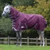 Weatherbeeta Comfitec Plus Dynamic II Detach-a-Neck Turnout Rug, 220g