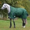 Weatherbeeta Comfitec Plus Dynamic II High Neck Turnout Rug, 0g -Sports - Horse Equipment Shop 335959 HGR DB 1