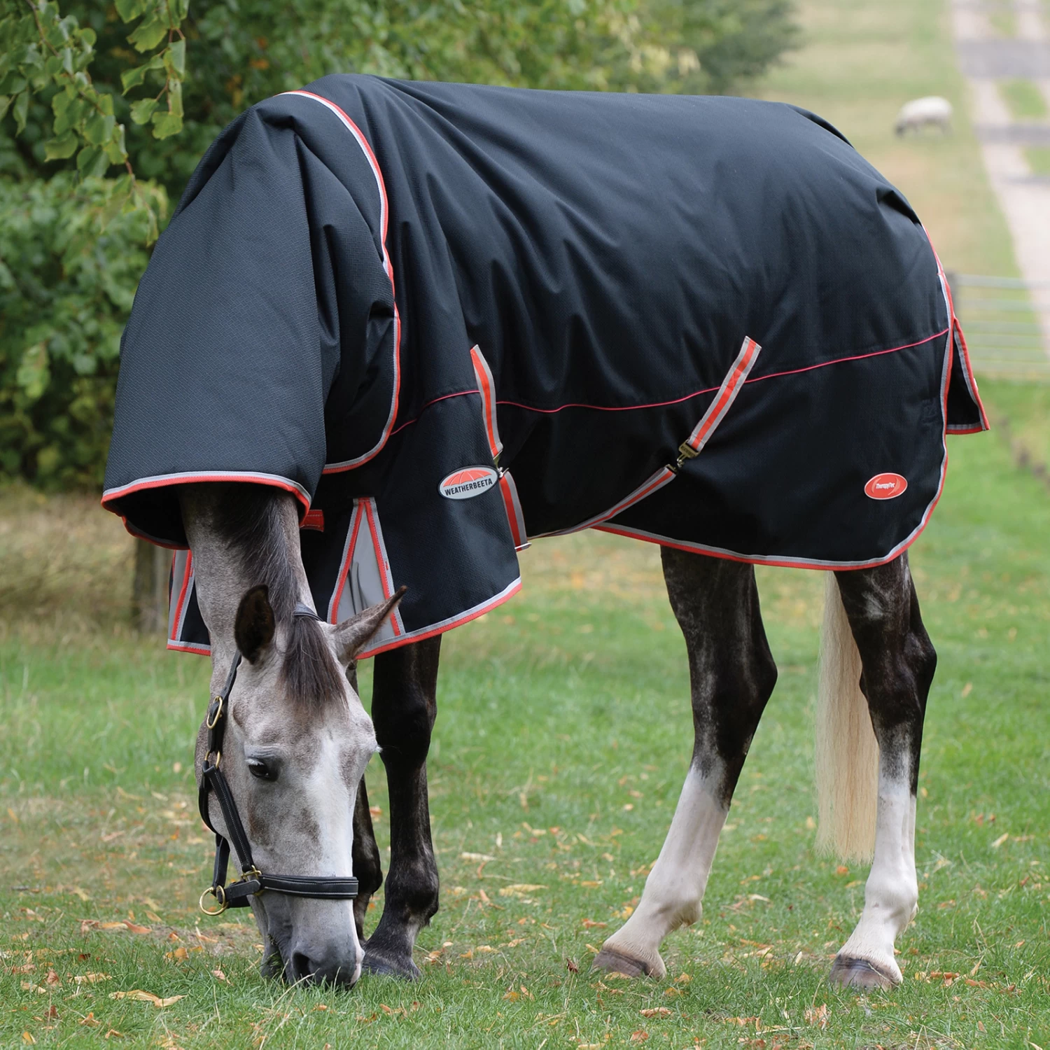 Weatherbeeta Comfitec Premier With Therapy-Tec Incl. Detachable Neck, 220g 4 Weatherbeeta Comfitec Premier With Therapy-Tec Incl. Detachable Neck, 220g - Image 2