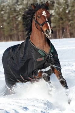 Horseware Rambo Original Turnout With Leg Arches, 200g