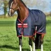 Horseware Rambo Original Turnout, 200g 2 Horseware Rambo Original Turnout, 200g -Sports - Horse Equipment Shop 336086 DB RE 1