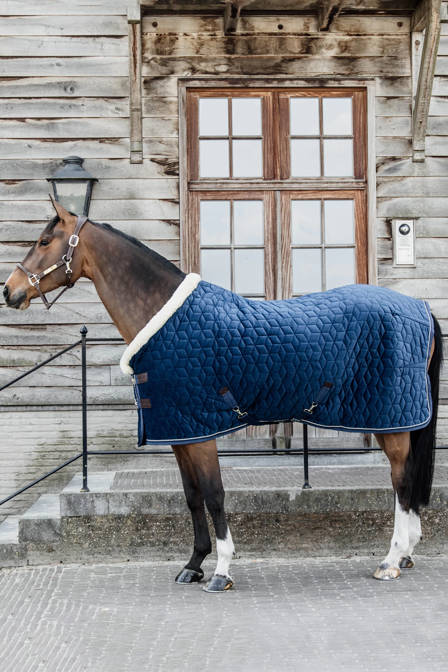 Kentucky Horsewear Velvet Pony Show Rug, 160g 22 Kentucky Horsewear Velvet Pony Show Rug, 160g - Image 20