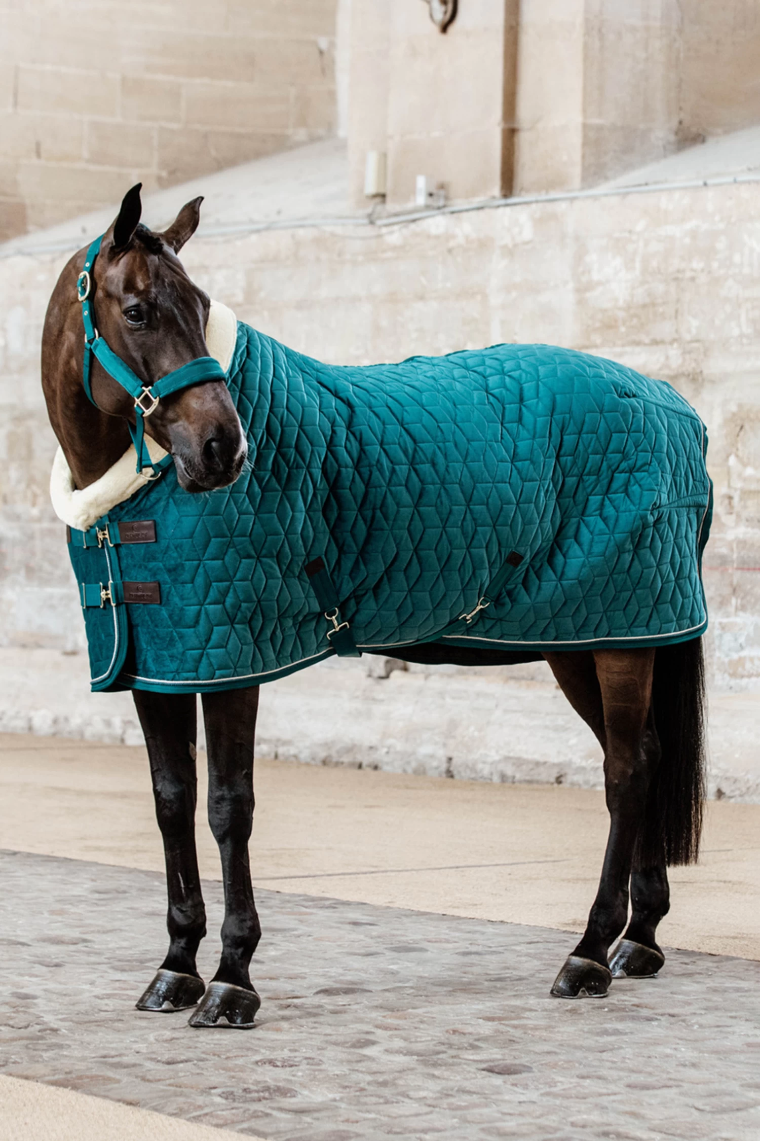 Kentucky Horsewear Velvet Pony Show Rug, 160g 4 Kentucky Horsewear Velvet Pony Show Rug, 160g - Image 2