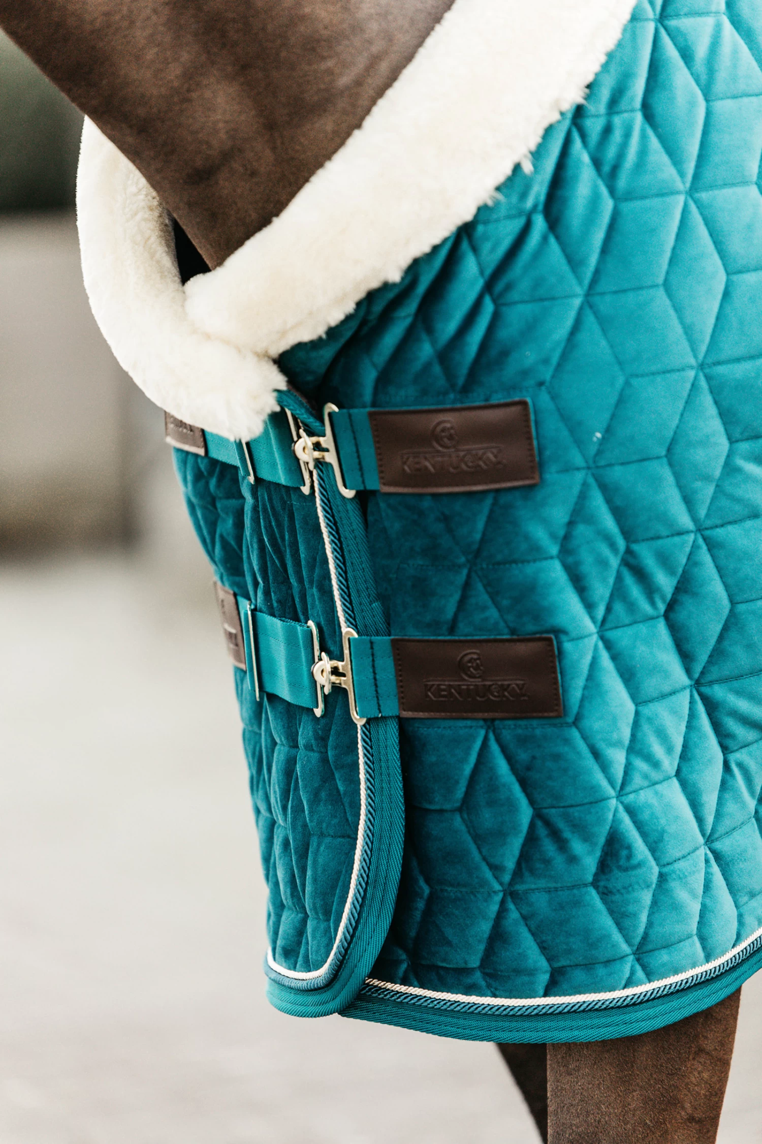 Kentucky Horsewear Velvet Pony Show Rug, 160g 5 Kentucky Horsewear Velvet Pony Show Rug, 160g - Image 3