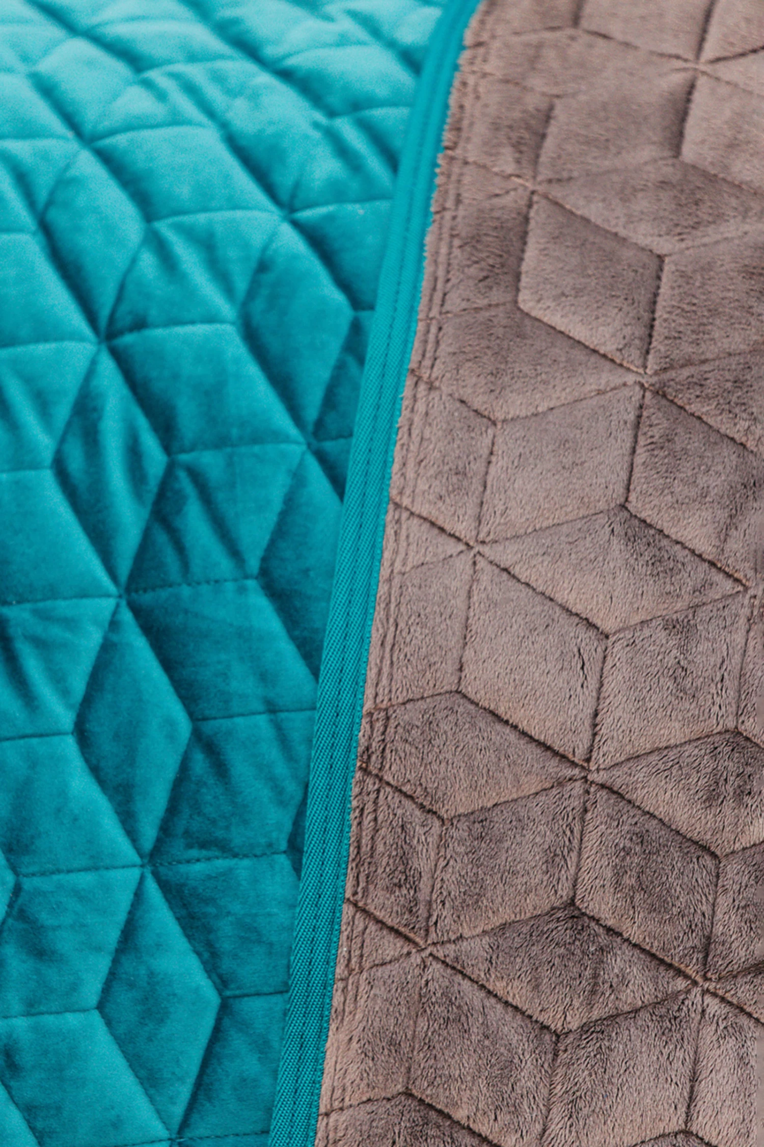 Kentucky Horsewear Velvet Pony Show Rug, 160g 6 Kentucky Horsewear Velvet Pony Show Rug, 160g - Image 4