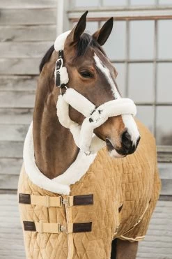 Kentucky Horsewear Velvet Pony Show Rug, 160g 27 Kentucky Horsewear Velvet Pony Show Rug, 160g -Sports - Horse Equipment Shop 336616 MGO 2