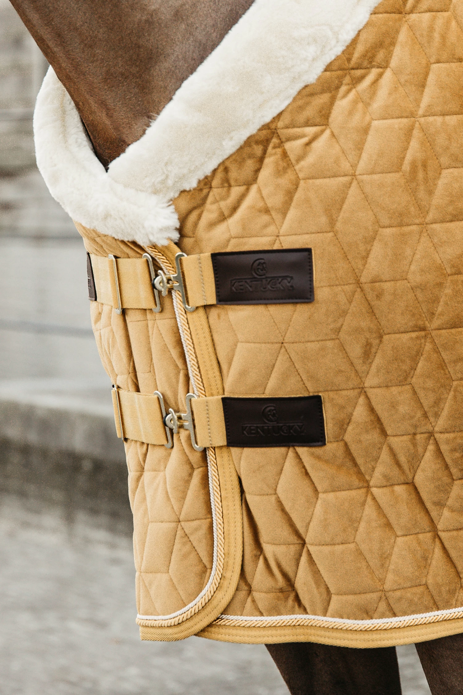 Kentucky Horsewear Velvet Pony Show Rug, 160g 9 Kentucky Horsewear Velvet Pony Show Rug, 160g - Image 7