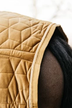 Kentucky Horsewear Velvet Pony Show Rug, 160g 30 Kentucky Horsewear Velvet Pony Show Rug, 160g -Sports - Horse Equipment Shop 336616 MGO 5