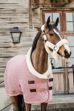 Kentucky Horsewear Velvet Pony Show Rug, 160g 34 Kentucky Horsewear Velvet Pony Show Rug, 160g -Sports - Horse Equipment Shop 336616 RRPI 2
