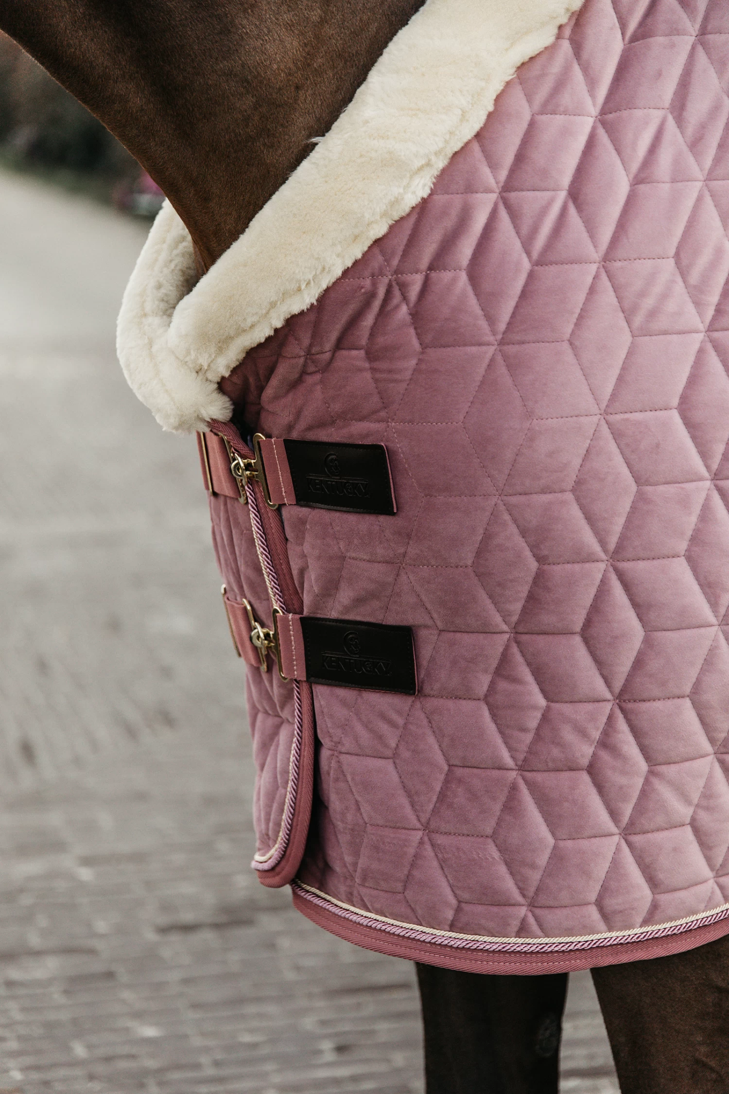 Kentucky Horsewear Velvet Pony Show Rug, 160g 17 Kentucky Horsewear Velvet Pony Show Rug, 160g - Image 15