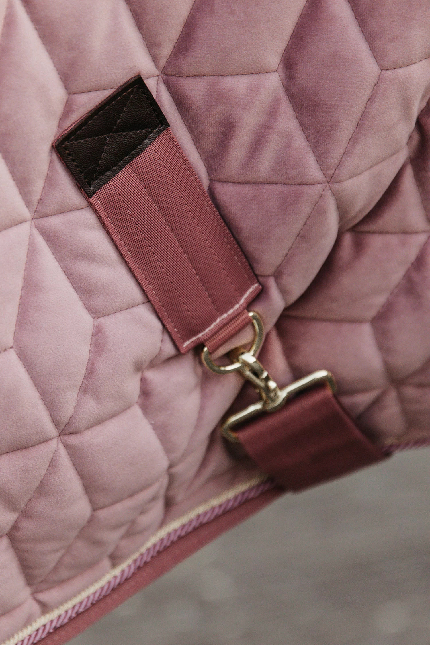 Kentucky Horsewear Velvet Pony Show Rug, 160g 18 Kentucky Horsewear Velvet Pony Show Rug, 160g - Image 16