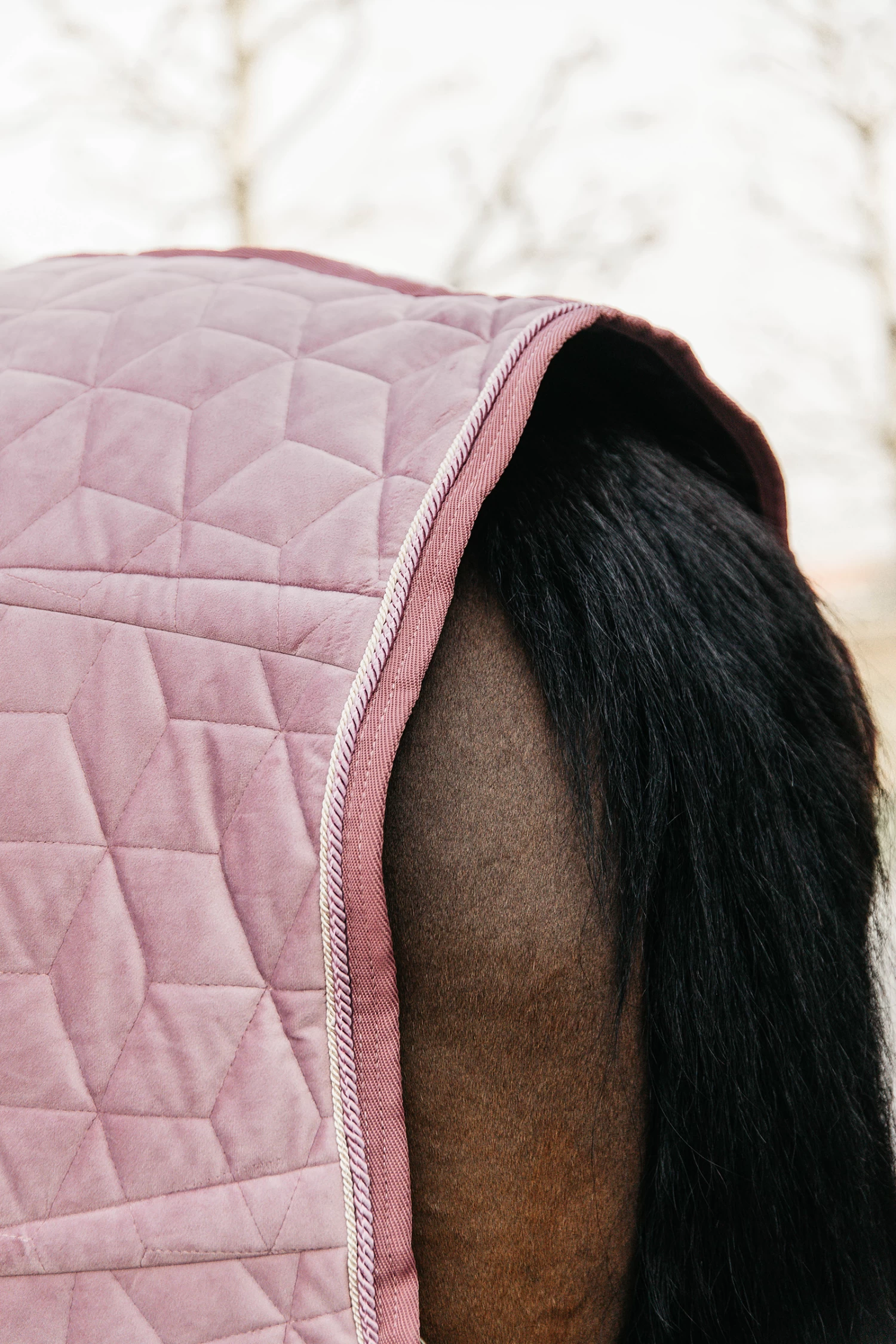 Kentucky Horsewear Velvet Pony Show Rug, 160g 19 Kentucky Horsewear Velvet Pony Show Rug, 160g - Image 17