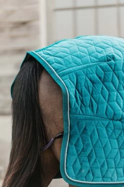 Kentucky Horsewear Velvet Show Rug, 160g 26 Kentucky Horsewear Velvet Show Rug, 160g -Sports - Horse Equipment Shop 336617 EGR 5